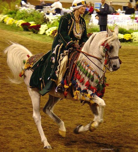 Arabian horse costume class | Arabian horse costume, Horse costumes, Show horses