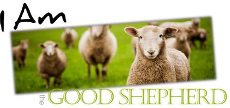 I AM THE GOOD SHEPHERD