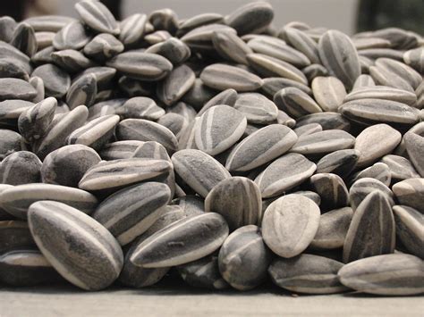 AI WEIWEI: SUNFLOWER SEEDS | This Week in New York