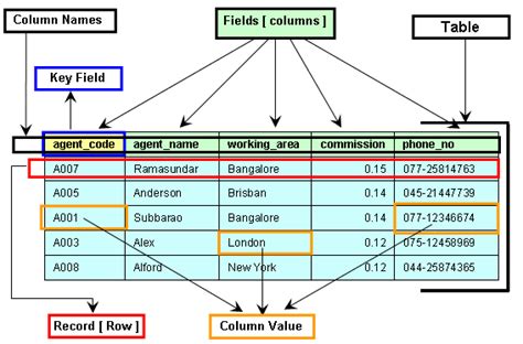 In a Database Table Each Row Is Called