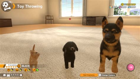 Little Friends: Dogs & Cats Review (Switch) | Nintendo Life