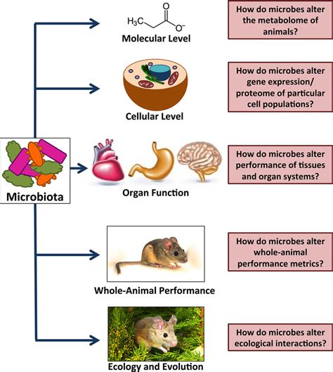 Numerous levels of biological organization can be affected by ...