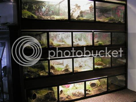 Tarantula enclosure :) - Reptile Forums