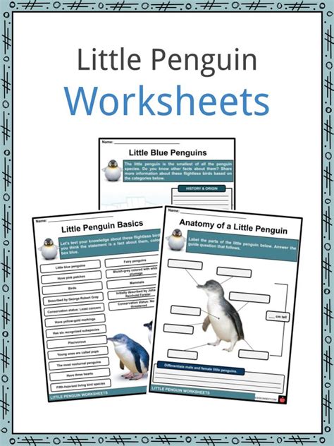 Little Penguin Facts, Worksheets, Taxonomy & Description For Kids