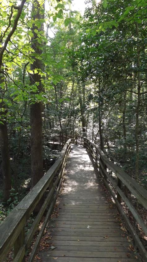 One of the least visited: Congaree National Park – National Park Units