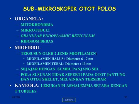 Gambar Mikroskop Otot Polos – cabai