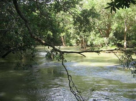 Kaveri Nisargadhama || Bamboo Forest || Birds Feeding || Kushalnagara ...