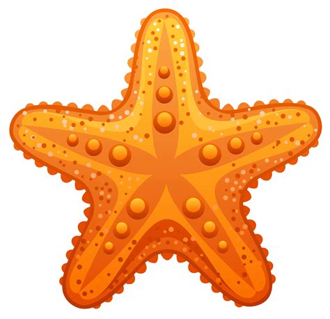 Starfish clipart - Clipground