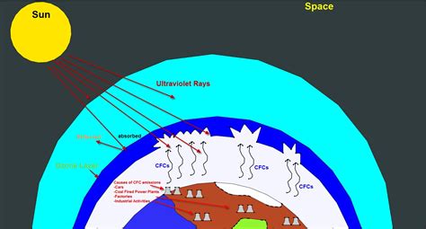 What is the difference between ozone depletion and global warming ...