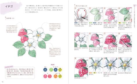 Learn With Coloring Books Watercolor Illustrations Of Flowers | HLJ.com