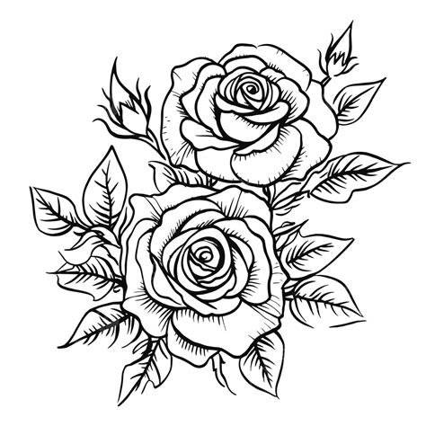 Rose Drawing Outline Google Search Flowers Pinterest Rose | The Best Porn Website