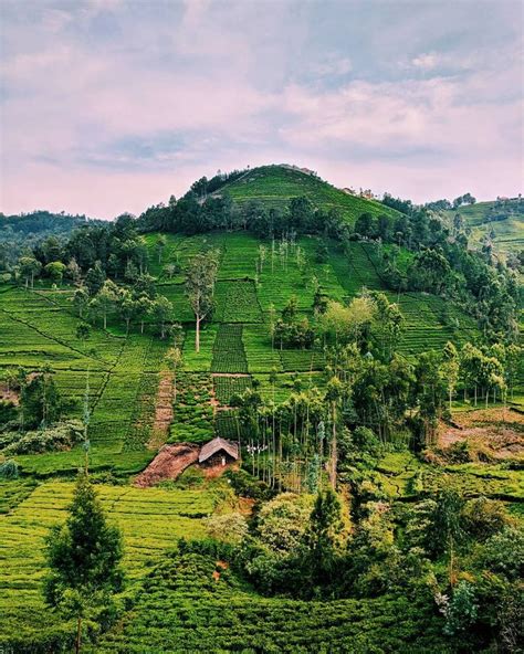 Nilgiris Mountain Ranges | Nature photography, Walking in nature, Travel photography