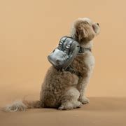 HUMBOLD | Dog back packs, harnesses, accessories and lifestyle brand