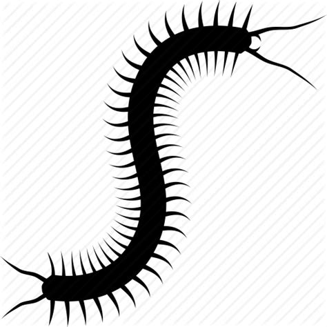 Giant Centipede Vector Clipart In Ai Svg Eps Psd Png | Images and Photos finder