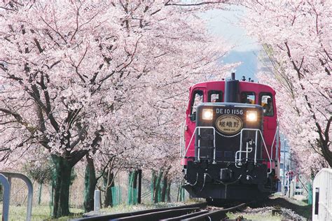 ตั๋วรถไฟสายโรแมนติกซากาโนะ | Sagano Romantic Train - Pinatlas