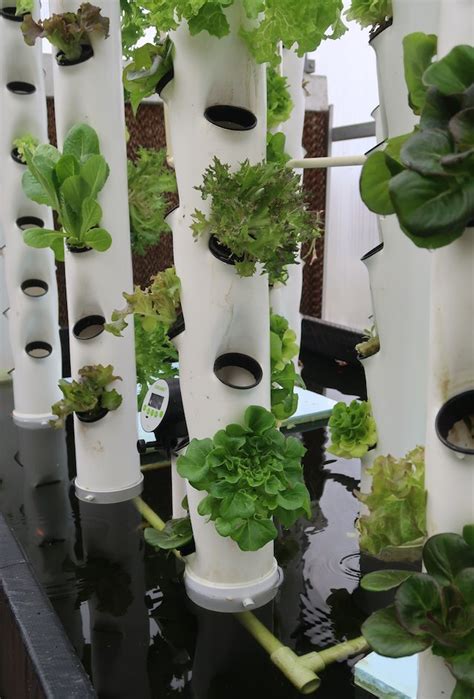 Vertical growth: Arkansan’s hydroponic towers make gardening more efficient