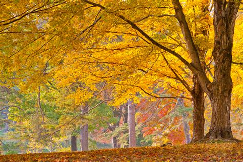 14 Best Places To Experience Fall In Kentucky - Southern Trippers