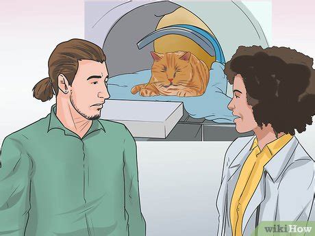 How to Treat Feline Cancer: 13 Steps (with Pictures) - wikiHow Pet