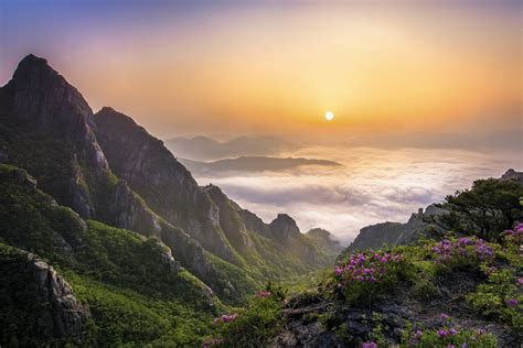 Wallpaper : sunlight, trees, landscape, forest, sunset, sea, hill, rock, nature, clouds, sunrise ...