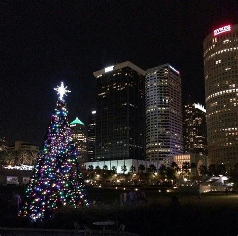 Curtis Hixon Waterfront Park Tampa, Christmas Tree, Park, Holiday Decor ...