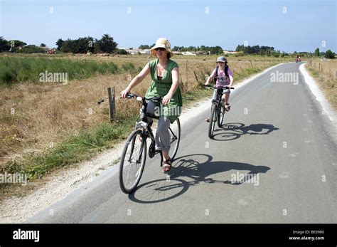 Cyclists using the Ile de Re cyclepaths Stock Photo - Alamy