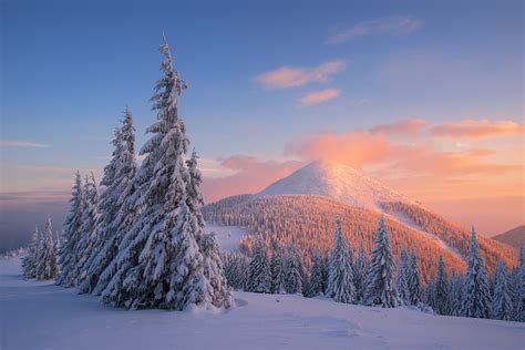 HD wallpaper: Carpathian Mountains, 4K, Snow, Pine trees, Winter, Sunset | Wallpaper Flare