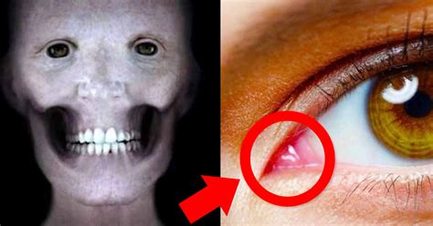 Creepy Facts About The Human Body