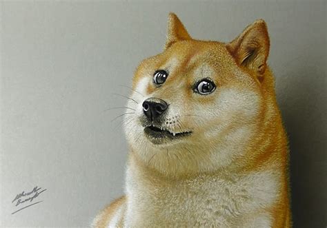 Doge Dog Meme - 3D Drawing - Marcello Barenghi