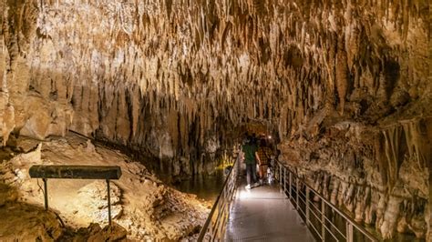 How Are Limestone Caves Formed? (Images + Interesting Facts) | Casual Geographical