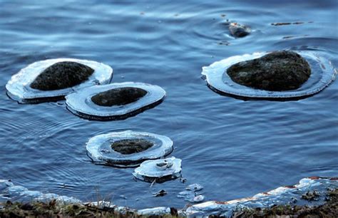 Stones and collars | Stone have icycollars after quite frost… | yrjö ...