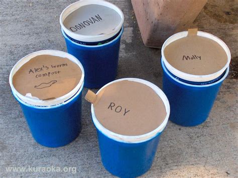 Mini Worm Composting Bins: A great project for kids