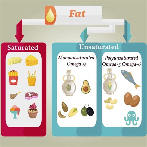 What Are Examples Of Saturated Fats: A Comprehensive Guide