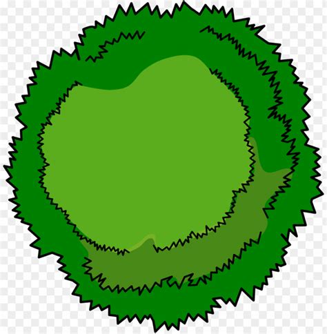 Top View Trees Png cutout PNG & clipart images | TOPpng