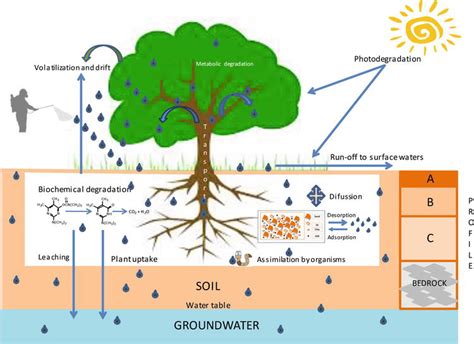 Environmental Risk of Groundwater Pollution by Pesticide Leaching through the Soil Profile ...