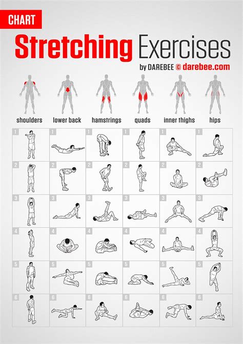 the chart shows how to do stretching exercises