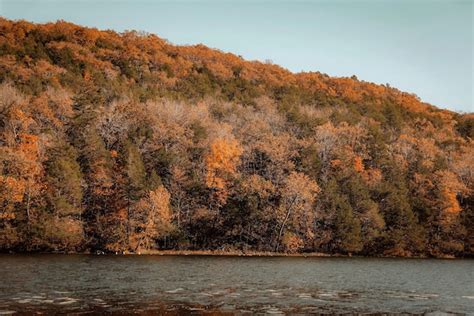 Premium Photo | Fall foliage at arkansas