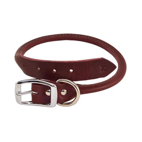 Rolled Leather Buckle Dog Collar - J&J Dog Supplies