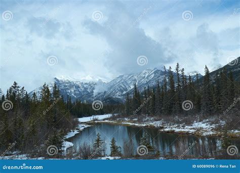 Canadian Winter Big Firs Path Snow Admire Landscapes Stock Photography ...