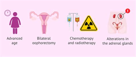 Causes of low testosterone levels in women