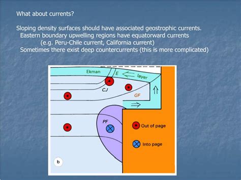 PPT - Upwelling/Downwelling and Related Processes PowerPoint Presentation - ID:4583346