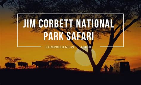 Comprehensive Guide to Planning Jim Corbett National Park Safari