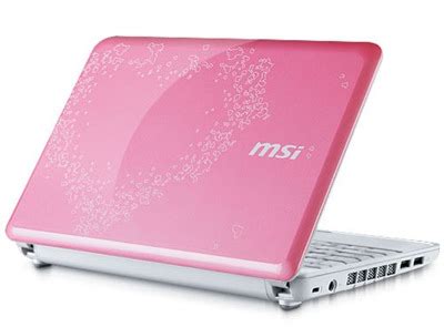 Top 10 Best Pink Laptops in 2013 - LPTPS - Laptops World