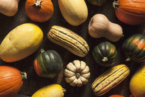 Winter Squash: Everything You Need to Know - FoodPrint