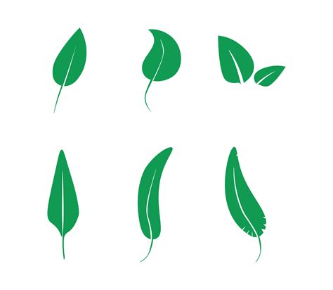 Collection of Green Leaves 13726327 Vector Art at Vecteezy