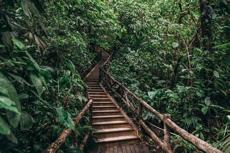 12 Best Hikes in Costa Rica for Hiking Lovers 2023
