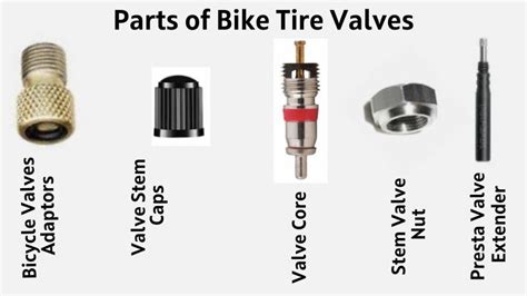 Discover the Benefits of Choosing the Right Types of Bike Tire Valves ...