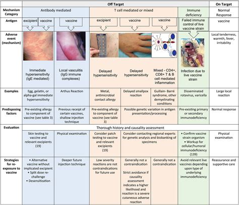 Tetanus Shot Reaction