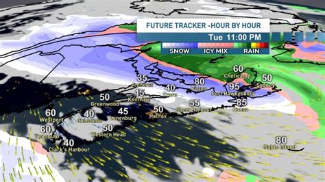 Strong winter storm set to hit northeastern areas of Nova Scotia | CBC News