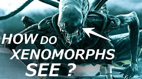 How Can Xenomorphs See ? Sensory Organs Explained - YouTube