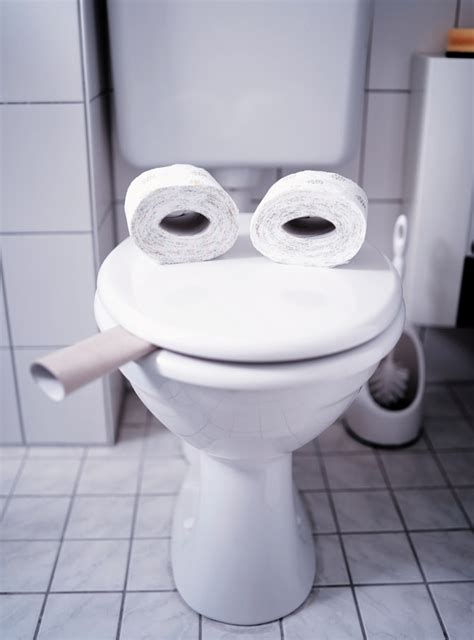 Are Toilet Seat Sizes the Same? - Pizzchzz